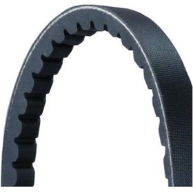 Resim V Kayısı 0069979792 