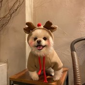 Resim Kış Noel Geyikli Köpek Sweatshirt - Tüm Mevsim Küçük Pet Hoodie Küçük, Mini ve Orta Irk İçin - Dokuma Polyester Sıcaklık Kış, Sonbahar, Bahar - Festif Bayram Kiyafeti 