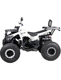 Resim Volta 4M801-9900A-03 Ra5 Quadrıcycle Offroad Atv Beyaz 