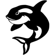 Resim Sevimli Yunus Sticker 40 X 48 Cm 