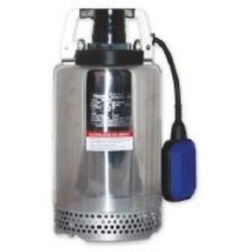 Resim Water Sound KSM2.75 1HP Paslanmaz Gövdeli Keson Kuyu Pompa 