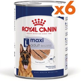 Resim Royal Canin Maxi Adult Büyük Irk Köpek Konservesi 410 Gr x 6 Adet 