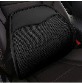 Resim Honeybeeshop Byd Han Qin Plus Song Pro Dolphin Seal Seagull Nefes Alabilir Bel Desteği Sürücü Sırt Minderi Siyah 