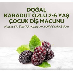 Resim Eyüp Sabri Tuncer Doğal Karadut Özlü 6'lı Çocuk Diş Macunu 60 Ml Ağız Kokusu Önleyici 