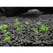 Resim Badem Akvaryum İthal Akvaryum Bitki Kumu Gübre Katkılı Yuvarlak Kum Siyah 1 KG 