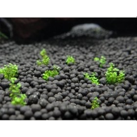 Resim Badem Akvaryum İthal Akvaryum Bitki Kumu Gübre Katkılı Yuvarlak Kum Siyah 1 KG 
