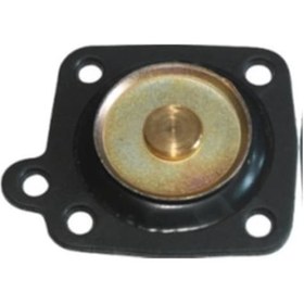 Resim Ayhan Düz Basmasız Kulaklı Diyafram Tpsx Slx IS00-AYHAN A6417 