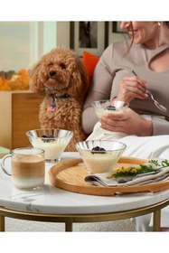 Resim Hype Store VANILLA KASE1 (<17CM) 320 CC 6'LI HEDİYELİK KUTU 