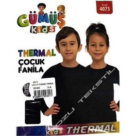 Resim Gümüş Erkek Çocuk Termal Fanila İçlik 4073 - 2 Adet 