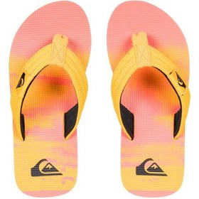 Resim Quiksilver Molokai Layback II Youth Erkek Çocuk Terlik 