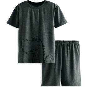 Resim Dinozor Erkek Çocuk Gri Alt Üst Pijama Takım 
