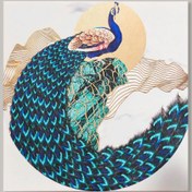 Resim Q-Art Dekoratif Peafowl Kanvas Tablo - 60x60 cm 