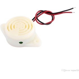 Resim Yüksek Desibel Buzzer 3-24 V Sfm-27-1 