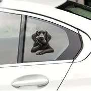 Resim Kara Kedi Araba Tamponu - Su Geçirmez ve Dayanıklı, Kolay Uygulanabilir - Araba Dış Cephesi, Dizüstü Bilgisayarlar ve Dizüstü Bilgisayarlar İçin Mükemmel 