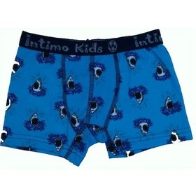 Resim 12 Li Paket İntimo Kids Erkek Çocuk Desenli Likralı Boxer 001 