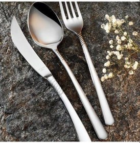 Resim Aryıldız Ala S Prestige 89 Parça Çatal Bıçak Kaşık Takımı Gümüş 