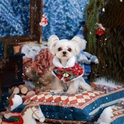 Resim Pet Noel Pelerin Bandana, Tüm Mevsim Sıcaklık, Dokuma Polyester, Ayarlanabilir Festive Şal, Küçükten Büyüğe Köpekler ve Kediler için, Irk-Spesifik - Kış, Sonbahar, İlkbahar 