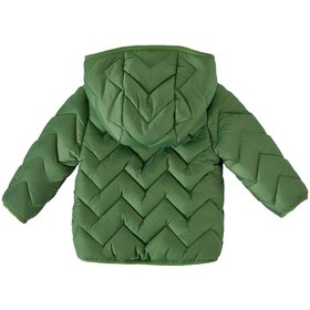 Resim Erkek Çocuk Mont - Yeşil / 3 Yaş 