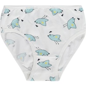 Resim Civil Girls Kız Çocuk Cute Bird 2-12 Yaş 2'li Külot - Standart / 12-13 Yaş 