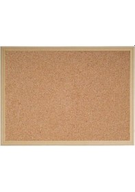 Resim Noki Inter Mantar Pano Mdf Çerçeve 45X60 