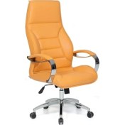 Resim Sera Müdür Koltuğu 