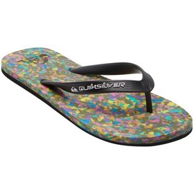 Resim Quiksilver Molokai Recycled Erkek Terlik Renkli Çok Renkli 