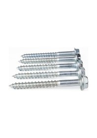 Resim Trifon Asfalt Montaj Vidası 10X100 MM 20 Adet N11.15431 