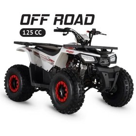 Resim Skyjet M135 125 CC Off-Road Atv 