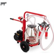 Resim Tamam Ecomini Tekli İnek Süt Sağma Makinesi Paslanmaz Güğüm-silikon Memelik Kuru Pompa 