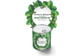 Resim Mcg® Konserve Bahçem Evde Konservede Dereotu Yetiştirme Kiti Aparatı 