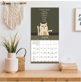 Resim Aubyhe 2024 Kedi Takvimi - Sevimli Kedi Fotoğrafları, Duvar Dekorasyonu, Hediye Seçeneği, Günlük Planlama, Ev Ofis Mutfak Odası Kullanımı 