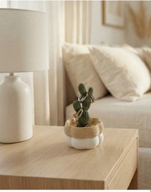 Resim Elana Design Kaktüs Tasarımlı Takı Kutusu Yüzük, Bileklik Ve Kolye Düzenleyici Dekoratif Saklama Kutusu Bej - Şeffaf 