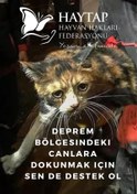 Resim HAYTAP DEPREM YARDIM KARTI-100 TL 