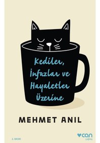 Resim Kediler İnfazlar ve Hayaletler Üzerine - Mehmet Anıl - Can Yayınları 