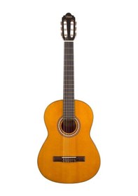 Resim Valencia Vc203 Klasik Gitar 3/4 Vintage Naturel Mat 