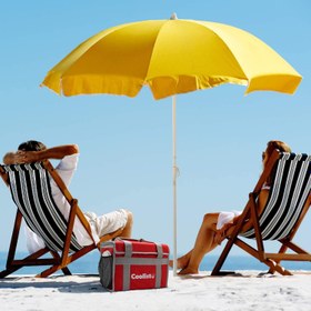 Resim Coolist CL36R 36 Litre Katlanabilir Termos Bez Çanta / Buzluk 