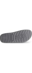 Resim Ecco Cozmo M Steel 