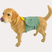 Resim Corgi-Approved Köpek Eğitimi Pantolonları ile Pati Baskılı Tasarım - Yumuşak Nefes Alabilen Kumaş, Esnek Bel Bandı ve Crotch Koruyucu Yaz için, Rahat ve Hijyenik Köpek Kedi Kutusu Pantolonları Corgi ve Tüm Köpekler için 