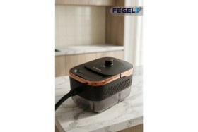 Resim Fegel FG-B2 Buharlı Temizleyici | Yüksek Basınçlı Buhar Gücü ile Zorlu Kir ve Yağ Sökücü, Kimyasalsız Temizlik Cihazı 