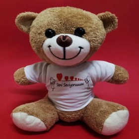 Resim Alifa Toptan Seni Seviyorum Temalı Peluş Ayıcık 
