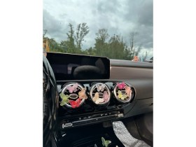 Resim Tasarım Arabam Kırmızı Kelebek Klima Süsü 2 Adet 