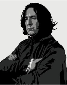 Resim wombhobby SNAPE Sayılarla Boyama Seti 80X100 Cm Çerçeveli (Kasnağa ) Gerili 