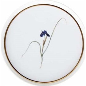 Resim Porland Botanical Desen3 Düz Tabak 21cm 04ALM005044 