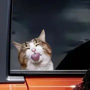 Resim Oynak Dil Çıkaran Kedi Vinil Etiket - Arabalar, Laptoplar, Bagaj ve Kaykaylar için Kendinden Yapışkanlı Parlak Dekoratif - Dayanıklı Karikatür Tasarımı, Plastik / Ahşap / Cam / Metal ile Uyumlu - Sevimli Düzensiz Şekil Süslemesi 