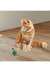 Resim 2li Renkli Peluş Tüy Kedi Köpek Oyuncak Yakalama Çiğneme Çıngıraklı Top Oyuncağı 