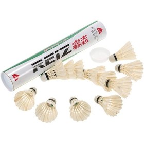 Resim Neevoyu 12 Adet Profesyonel Badminton Tüy Topu Seti - Dayanıklı Tüy Ve Köpük Başlı, Taşıma Tüplü 