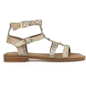 Resim Ziya, Kadın Hakiki Deri Sandalet 1511047z16222 Bej-yılan 1511047z16222 460 Bej-yılan Bej 