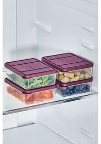 Resim Selka Home 4 Adet 0.5 Lt. Nora Organizer Buzdolabı Buzluk Düzenleyici Saklama Kabı 