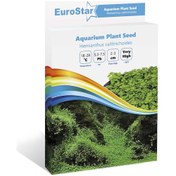 Resim Akvaryum Bitki Tohumu Hemianthus Callitrichoides 