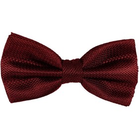 Resim BLC Basic Line Co. Bordo Renk Armürlü Papyon 